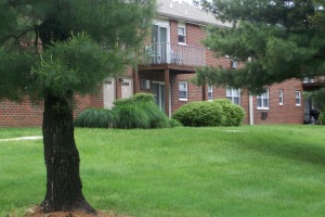 Pine Hill Apartments