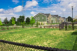 Dog Park