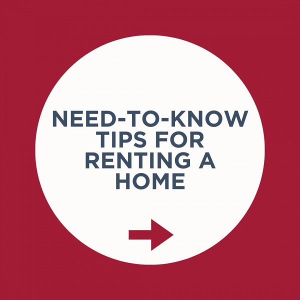 🏡 Unlock the key to successful renting with these need-to-know tips! 🗝️ Swipe through this carousel to discover essential advice for renting a house. From prioritizing your housing needs to understanding your lease, each slide offers valuable insights to make your renting experience a breeze. 💡 Don't overlook your instincts—they're your best guide in finding the perfect home. ✨ Ready to embark on your renting journey? Let's dive in!

#RentingTips #HouseHunting #apartmenthunting #Rentals #renting #affordablehousing #HousingPriorities #Renting101 #TenantTips #RentersAdvice #ingerman #njrentals #delawarerentals #marylandrentals #pennsylvania #newjersey